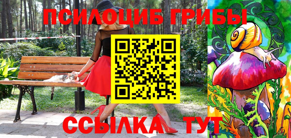 Татарск  Псилоцибиновые грибы мицелий  Вход с VPN 
