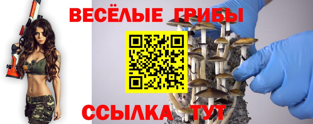 Галлюциногенные грибы MAGIC MUSHROOMS Татарск